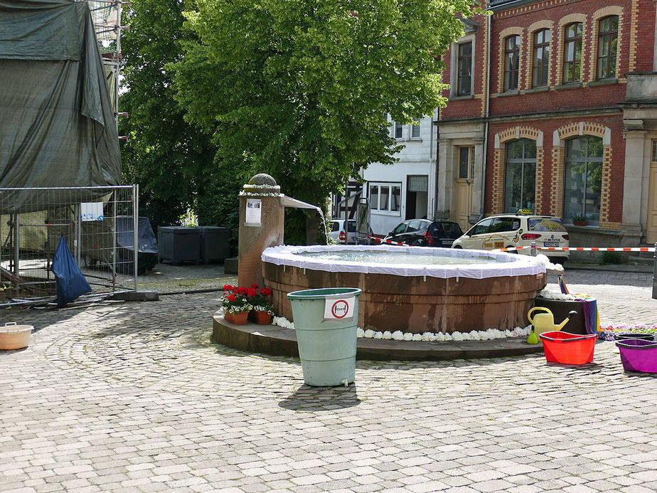 Bluemteppich auf dem Naumburegr Marktplatz (Foto: Karl-Franz Thiede)